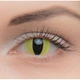 Жовті контактні лінзи - Кет Елоу 2шт. від ELITE Lens - зображення 6