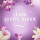 Спрей для разглаживания складок на одежде Lenor Crease Releaser Exotic Bloom 500мл - изображение 6