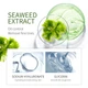 Ночная маска для лица Laikou SeaWeed Sleeping с морскими водорослями, 3g - изображение 7