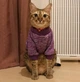 Джемпер для котов (кошек) Classic XL Фиолетовый - изображение 10