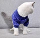 Джемпер для котов (кошек) Classic M Синий - изображение 5