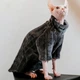 Флисовая кофта для котов (кошек) Фараон L Темно-серый - изображение 1
