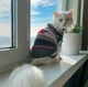 Свитер для котов (кошек) Канада XL Серый - изображение 7