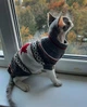 Свитер для котов (кошек) Канада XL Серый - изображение 10