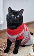 Свитер для котов (кошек) Олени XS Красный - изображение 10