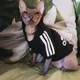 Толстовка для котов (кошек) Adidog M Черный - изображение 10