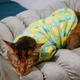 Толстовка для котов (кошек) Лаки Лимон M Бирюзовый - изображение 8