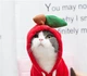 Толстовка для котов (кошек) Яблоко XS Красный - изображение 7