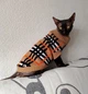 Свитер для котов (кошек) Бруно XS Коричневый - изображение 7