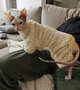 Костюм для котів (кішок) флісовий Пухнастик L Бежевий - зображення 7
