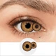 Склеральные Линзы Карие ELITE Lens Мистик 2 шт - изображение 1