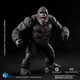 Игрушка Годзилла X Конг: Конг Godzilla vs. Kong: Kong Exquisite Basic PX Action Figure HIYA Toys - изображение 4