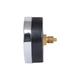 Термоманометр Thermo Alliance Standart 80 мм 1/2", заднее подключение SD17310B - изображение 6