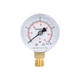 Манометр Thermo Alliance Standart 50 мм 1/4", нижнє підмикання SD1704B - зображення 1