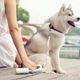 Cумка для пакетов Petkit Dog Waste Bag P940 [102237] - изображение 7