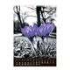 Календарь настенный 2026 Buromax А3 на 1 пружину Emphasis on color (BM.210602) - изображение 11