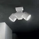 Вуличний світильник XENO AP2 BIANCO Ideal Lux 129495 - зображення 2