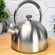 Чайник со свистком нержавеющая сталь 2.5 л Ringel Grey Line RG-1010 - изображение 2