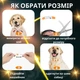 Светодиодный, водостойкий LED ошейник для собак с зарядкой USB, 50 см, размер М (оранжевый) - изображение 4
