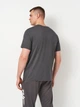 Футболка хлопковая длинная мужская Fila FAM1126-80015 M Темно-серая с принтом (4067777248239) - изображение 2