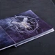 Nokturnal Mortum - До лунарної поезії (To Lunar Poetry) CD Digibook 00-00011923 - изображение 4