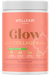 Дієтична добавка Wellexir Glow Beauty Drink Peach Ice Tea 360 г (5714720944449) - зображення 1