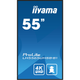 Информационный дисплей IIYAMA ProLite LH5565UHSB-B1 54.6" IPS 4K UHD 800 cd/m² Android 11 Black - изображение 2
