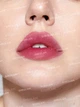 Жидкий тинт для губ и щек SHEGLAM For The Flush Lip & Cheek Tint - It's Chili - изображение 2