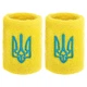 Напульсник спортивный махровый Герб Украины BC-9280 FDSO Желтый (35508021) - изображение 3