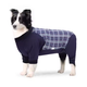 Комбинезон/попона для собак DoubleWin Recovery Suit Plaid Blue XS - изображение 2