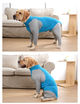 Пижама/попона для собак MOFESIPI Recovery Suit Blue&Grey S - изображение 3