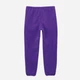 Детские теплые флисовые спортивные штаны для девочки Joiks Fleece Antipiling SFK-02 110 см Фиолетовые (J2000000080086) - изображение 6