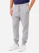 Спортивные штаны мужские U.S. Polo Assn 11A920-8J00A 2XL Светло-серые (786660460629) - изображение 1