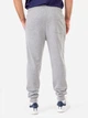 Спортивные штаны мужские U.S. Polo Assn 11A920-8J00A 2XL Светло-серые (786660460629) - изображение 2