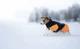 Тепла зимова куртка для собак Glacier jacket 3.0 Non-stop dogwear Чорний/Помаранчевий 30 - изображение 7