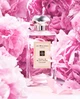 Одеколон для женщин Jo Malone London Peony & Blush Suede 100 мл - изображение 4