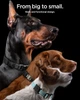 Чехол Spigen для Apple AirTag (1шт) Tough Armor IP Pet Collar, черный (ACS09780) - изображение 5