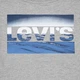 Подростковая футболка для мальчика Levi's 9EM659-C87 134-140 см Серая (3666643135980) - изображение 8