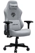 Ігрове крісло Anda Seat Phantom 3 Pro L Grey (AD18YC-06-G-F) - зображення 1
