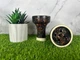 Чаша для кальяна GrynBowls Killer Glaze Skittles (фаянс, дизайн Skittles) 5123701 - изображение 2