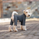 Базовый комбинезон/пижама для собак V.PET.B.R. Dog Jumpsuit CF36 Dark Grey. XL - изображение 3
