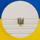 Значок Dobroznak Герб Сокіл (6331) - изображение 5