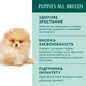 Промо набор консервированного корма для щенков Optimeal (3+1) с индейкой и морковью в соусе 100 г х 4 шт (B2921301) (4820269140813) - изображение 4