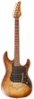 Електрогітара FGN EOS2-EW1-RM ODYSSEY EXPERT SERIES (Hojicha Burst) - зображення 1