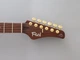 Електрогітара FGN EOS2-EW1-RM ODYSSEY EXPERT SERIES (Hojicha Burst) - зображення 5
