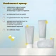 Увлажняющий солнцезащитный крем с растительным скваланом Needly Vegan Mild SPF 50+ PA++++ (10 ml) - изображение 4