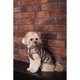 Жилет для собак Pet Fashion Hardy бежевый утеплённый водонепроницаемый размер S2 (MLZ10955) - изображение 8