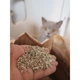 Наповнювач Biokats для котячого туалету Diamond Fresh бентонітовий 8 л - изображение 4