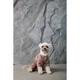 Костюм Pet Fashion Alf для собак бежевий XS2 - зображення 8
