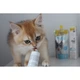 Вітамінна паста для кошенят GimCat Expert Line Kitten 50 г (MLZ7916) - зображення 4